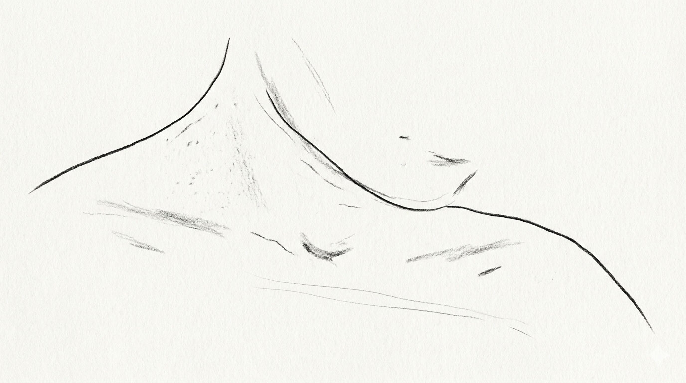 Senteret sitt bannerbilde